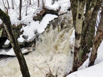 picture taken during a hike