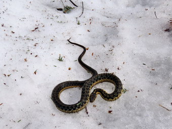 picture taken during a hike