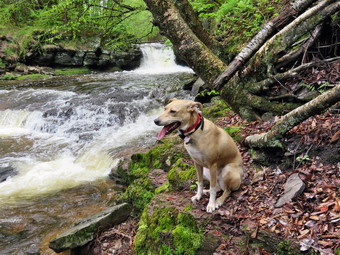 picture taken during a hike