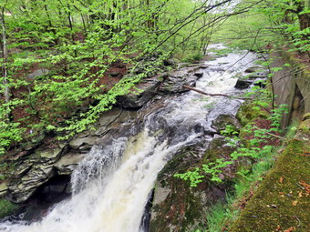 picture taken during a hike