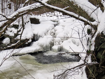 picture taken during a hike