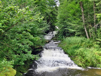 picture taken during a hike