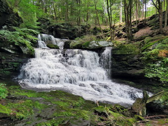 picture taken during a hike