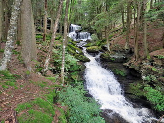 picture taken during a hike