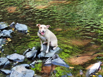 picture taken during a hike