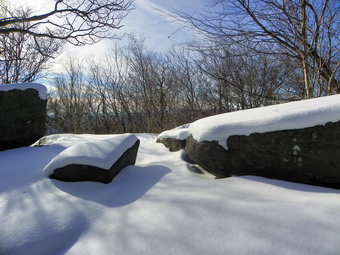 picture taken during a hike
