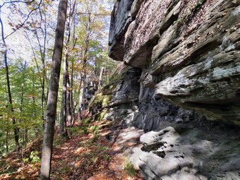 picture taken during a hike