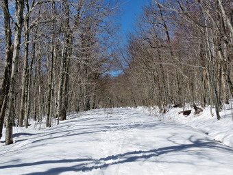 picture taken during a hike