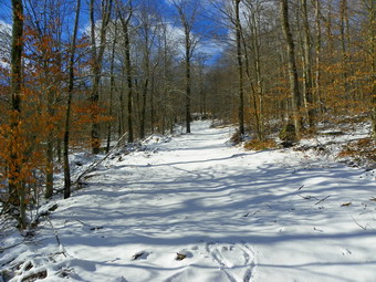 picture taken during a hike