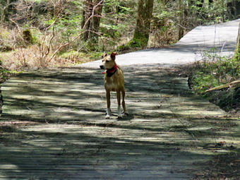 picture taken during a hike