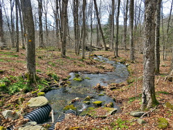 picture taken during a hike