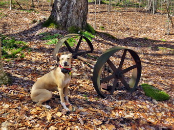 picture taken during a hike