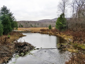 picture taken during a hike