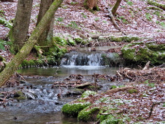 picture taken during a hike