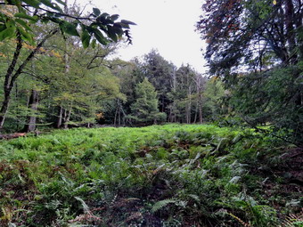 picture taken during a hike