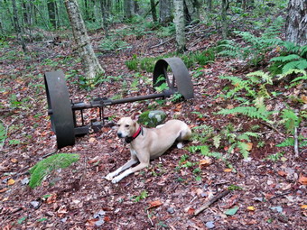 picture taken during a hike