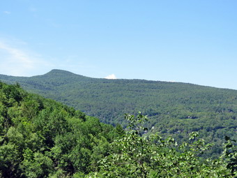 picture taken during a hike