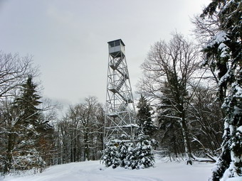 picture taken during a hike