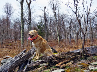 picture taken during a hike