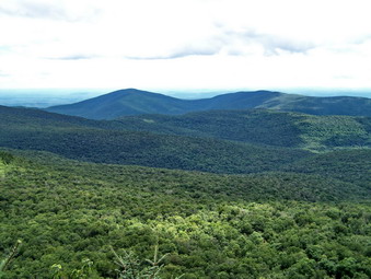 picture taken during a hike
