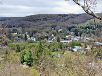 picture taken during a hike