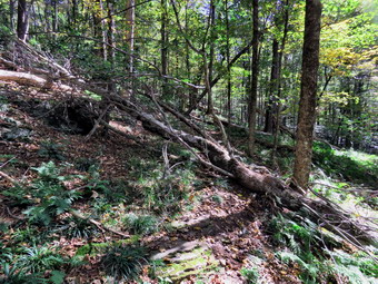 picture taken during a hike