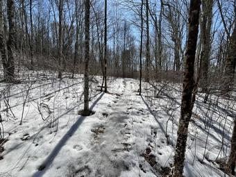 picture taken during a hike