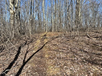 picture taken during a hike