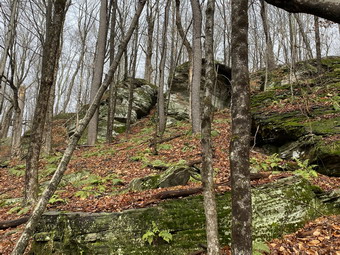 picture taken during a hike