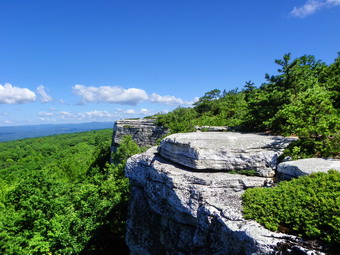 picture taken during a hike