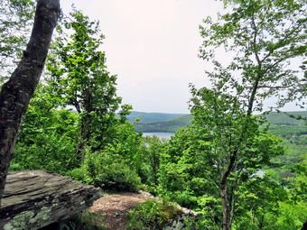 picture taken during a hike