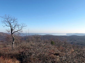 picture taken during a hike