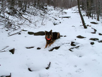 picture taken during a hike
