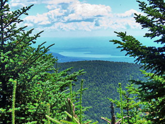 picture taken during a hike