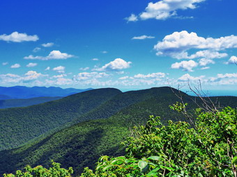 picture taken during a hike