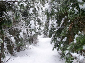 picture taken during a hike