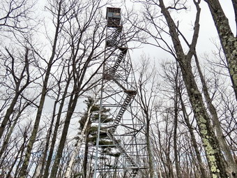 picture taken during a hike