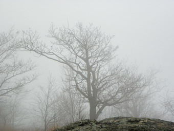 picture taken during a hike