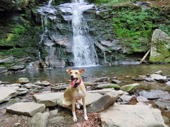 picture taken during a hike