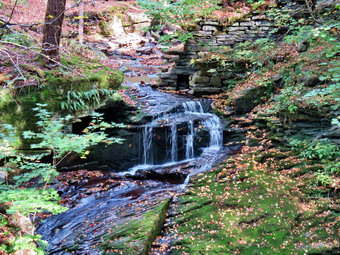 picture taken during a hike