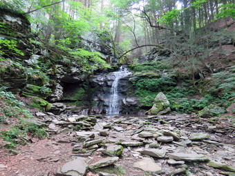picture taken during a hike