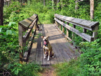 picture taken during a hike