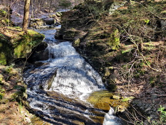 picture taken during a hike