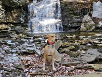 picture taken during a hike