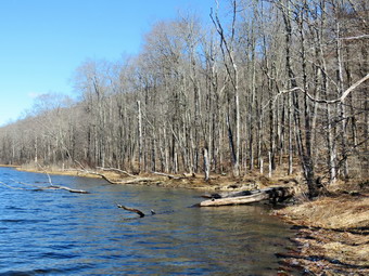 picture taken during a hike