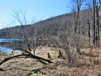 picture taken during a hike