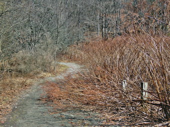 picture taken during a hike