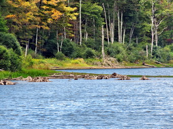 picture taken during a hike