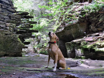 picture taken during a hike