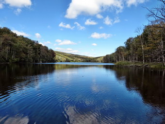 picture taken during a hike